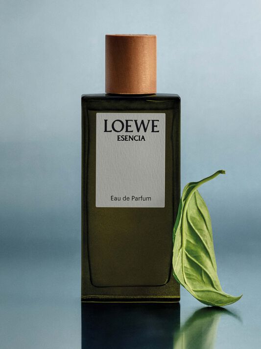 Luxury fragances for men- LOEWE - LOEWE